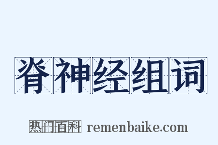 脊神经组词是什么意思的图片